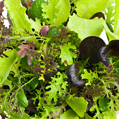 Salad Greens & Kitchen Herbs Mixed Lettuce Pic